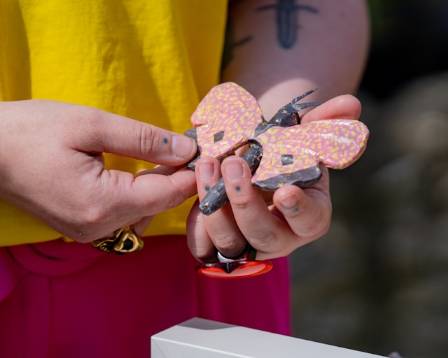 Bionic Butterflies Inspired by Nature’s Flight