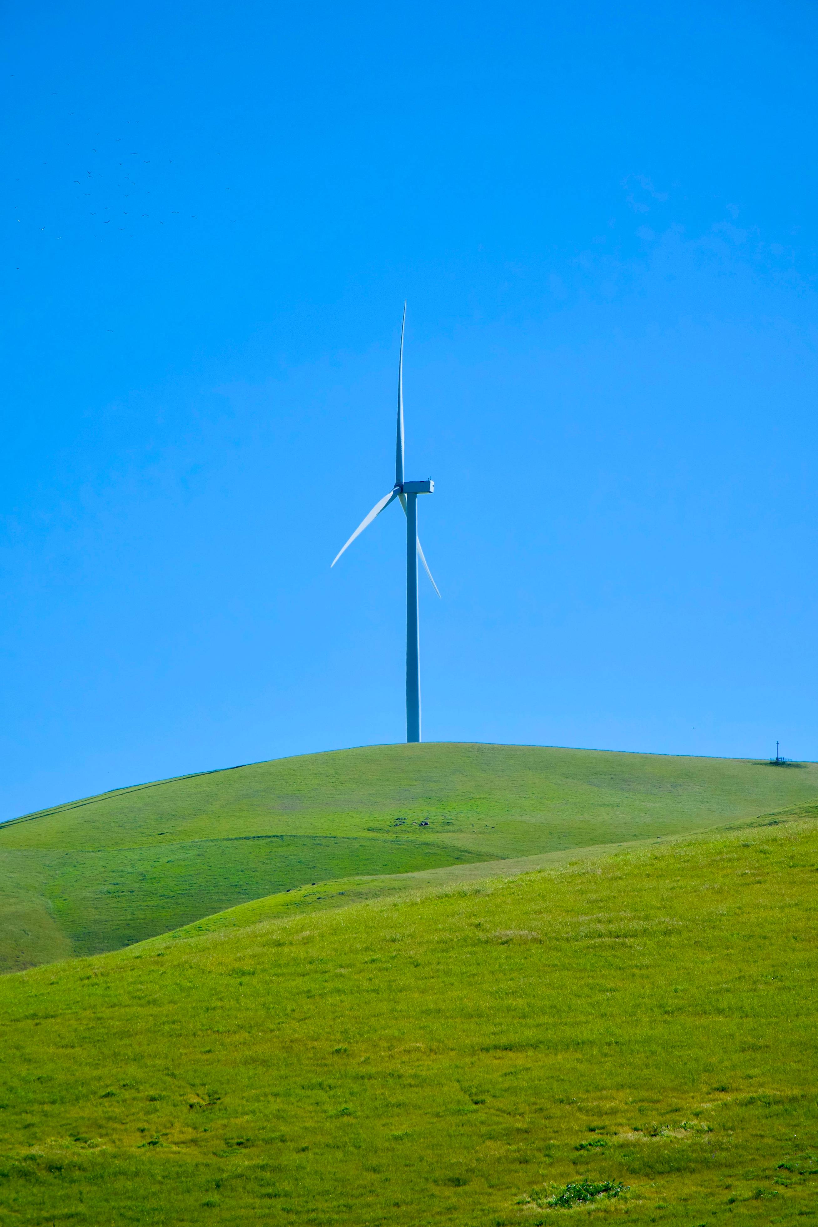 Wind turbine stands on a grassy hill.