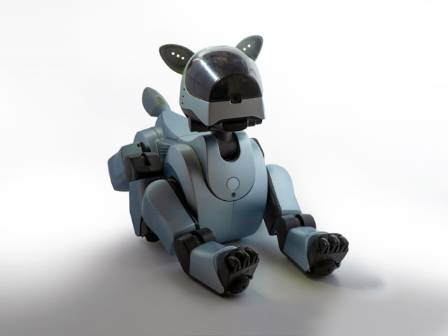 Remarkable AI Trained Robot Dog Climbs Stairs and Bounds Through Dense Forests