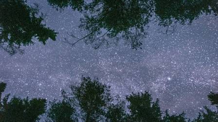 Van Gogh: Starry Night
