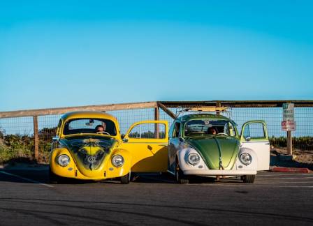 The Story Behind the Volkswagen Beetle