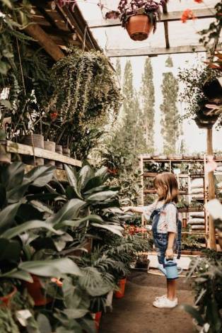 The Joyful Influence of Flowers on Well-being