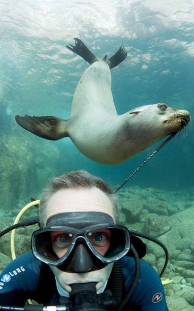 Discovering Sydney's Hidden Depths: A Guide to Shore Diving Secrets