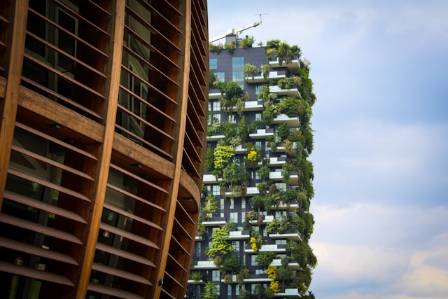How High Rise Forests Can Beautifully Transform Urban Existence and Elevate Human Happiness