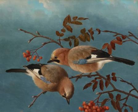 A Dozen Depictions of Duck Discovery: Ten Unknown Realities