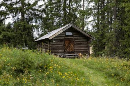 Redwood retreats: Best-bet cabins in our favorite parks