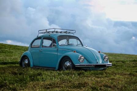 A Lasting Tribute to the Timeless and Iconic Bug
