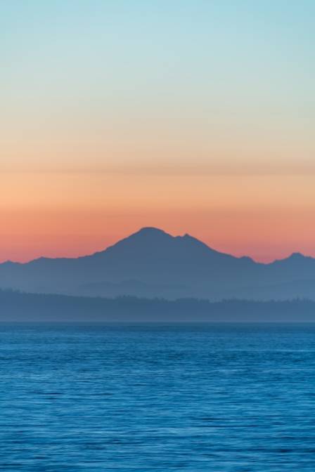 Coastal Majesty
