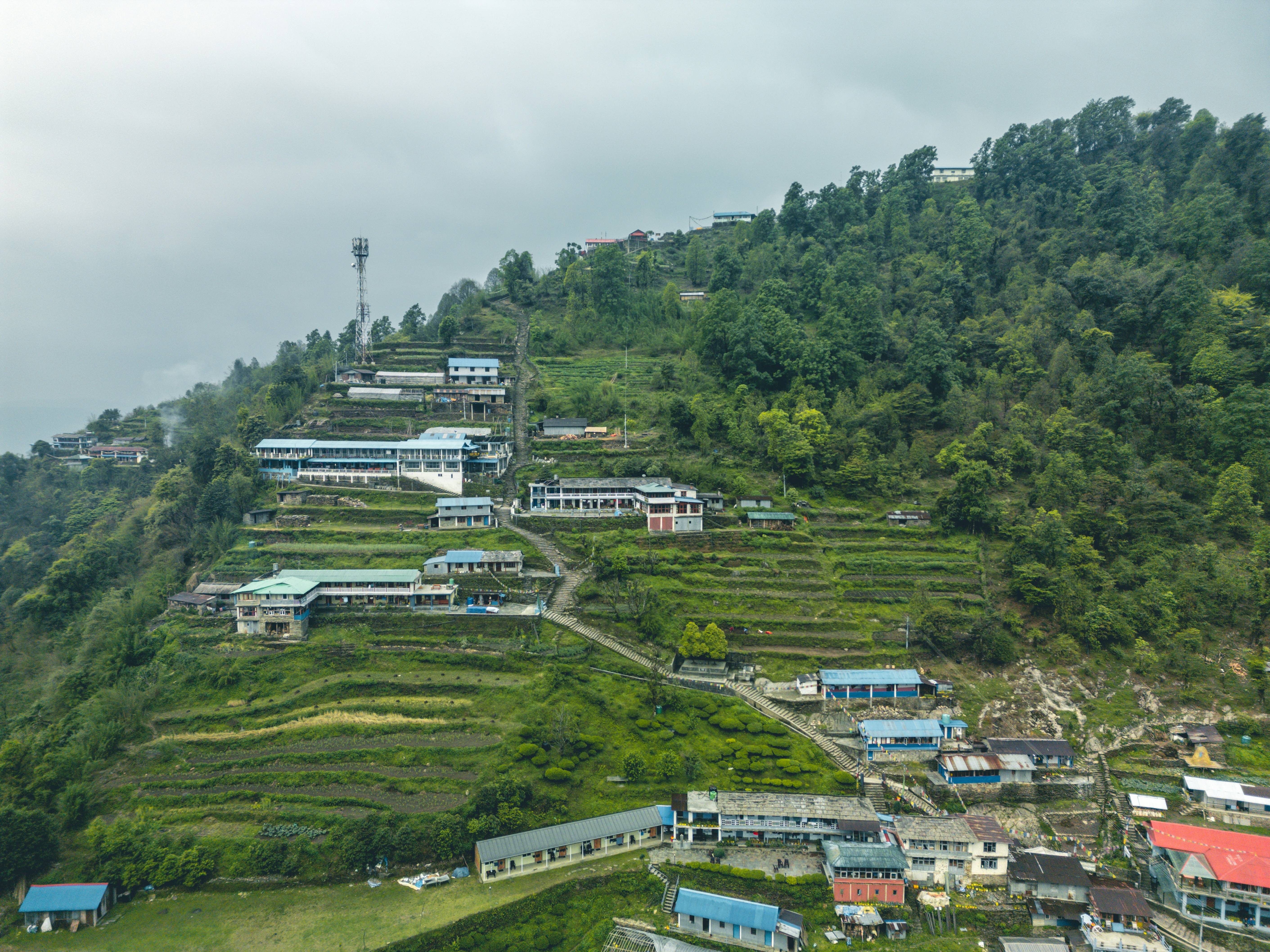 a hill with a bunch of houses on top of it